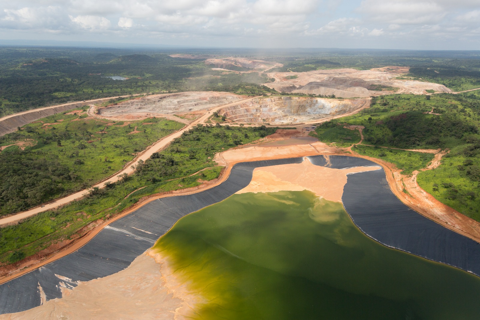 Biodiversity · Official website of Tenke Fungurume Mining (TFM)