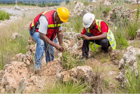 Biodiversity · Official website of Tenke Fungurume Mining (TFM)