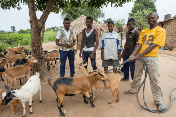 Resettlement Program · Official website of Tenke Fungurume Mining (TFM)